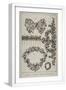 White Frame