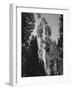 "Gen. Grant's" Sequoia Tree in King's Canyon National Park-J^ R^ Eyerman-Framed Photographic Print