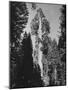 "Gen. Grant's" Sequoia Tree in King's Canyon National Park-J^ R^ Eyerman-Mounted Photographic Print