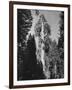 "Gen. Grant's" Sequoia Tree in King's Canyon National Park-J^ R^ Eyerman-Framed Photographic Print