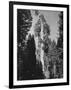 "Gen. Grant's" Sequoia Tree in King's Canyon National Park-J^ R^ Eyerman-Framed Photographic Print