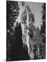 "Gen. Grant's" Sequoia Tree in King's Canyon National Park-J^ R^ Eyerman-Mounted Photographic Print