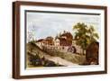 Brown Frame