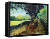 Gendron-Pol Ledent-Framed Stretched Canvas