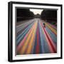 Gene Davis Putting Finishing "Franklin's Footpath," Painted in Front of Philadelphia Museum of Art-Henry Groskinsky-Framed Premium Photographic Print