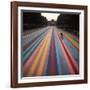 Gene Davis Putting Finishing "Franklin's Footpath," Painted in Front of Philadelphia Museum of Art-Henry Groskinsky-Framed Premium Photographic Print