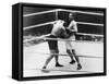 Gene Tunney-Jack Dempsey Boxing Match or the 'Long Count Fight' of Sept. 22, 1927-null-Framed Stretched Canvas