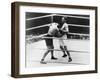 Gene Tunney-Jack Dempsey Boxing Match or the 'Long Count Fight' of Sept. 22, 1927-null-Framed Premium Photographic Print