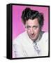 Gene Wilder-null-Framed Stretched Canvas