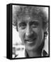 Gene Wilder-null-Framed Stretched Canvas