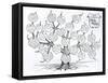 Genealogical Tree of the Rougon-Macquart Family-French School-Framed Stretched Canvas