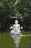 Pond Buddha 02-genenphotos-Framed Photographic Print