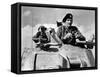 General Bernard Montgomery in His Grant Tank in North Africa-null-Framed Stretched Canvas