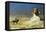 General Bonaparte in Egypt-Jean Leon Gerome-Framed Stretched Canvas