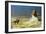 General Bonaparte in Egypt-Jean Leon Gerome-Framed Giclee Print