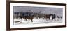 General Custer's Cavalry Marching to Attack a Cheyenne Village on the Great Plains, 1868-null-Framed Giclee Print