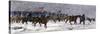 General Custer's Cavalry Marching to Attack a Cheyenne Village on the Great Plains, 1868-null-Stretched Canvas