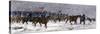 General Custer's Cavalry Marching to Attack a Cheyenne Village on the Great Plains, 1868-null-Stretched Canvas