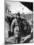 General Douglas Macarthur Inspecting French Positions During the Korean War-null-Mounted Photographic Print