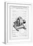 White Frame