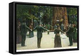 General Fremont Showing Circumference of a Redwood - Santa Cruz, CA-Lantern Press-Framed Stretched Canvas