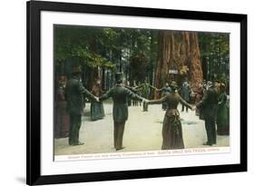 General Fremont Showing Circumference of a Redwood - Santa Cruz, CA-Lantern Press-Framed Art Print