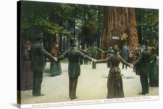 General Fremont Showing Circumference of a Redwood - Santa Cruz, CA-Lantern Press-Stretched Canvas