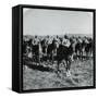 General French and His Men on Horseback during Boer War-null-Framed Stretched Canvas