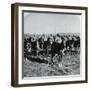 General French and His Men on Horseback during Boer War-null-Framed Photographic Print