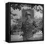 General George S. Patton in Normandy, France-Ralph Morse-Framed Stretched Canvas