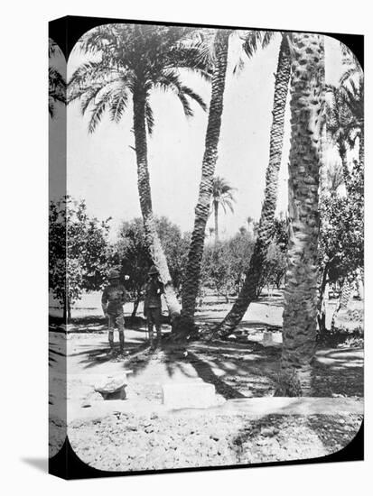 General Gordon's Garden, Khartoum, Sudan, C1890-Newton & Co-Stretched Canvas