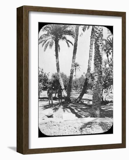 General Gordon's Garden, Khartoum, Sudan, C1890-Newton & Co-Framed Photographic Print