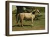 General Grant's Charger-Samuel Sidney-Framed Art Print