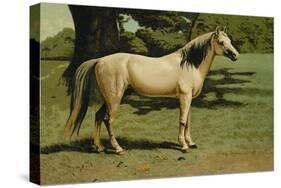 General Grant's Charger-Samuel Sidney-Stretched Canvas