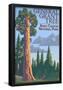 General Grant Tree - Kings CaNYon National Park, California-null-Framed Poster