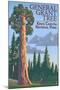 General Grant Tree - Kings Canyon National Park, California-Lantern Press-Mounted Art Print