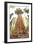 General Grant Tree - Kings Canyon National Park, California-Lantern Press-Framed Art Print