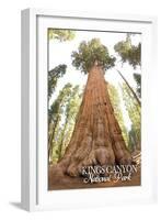 General Grant Tree - Kings Canyon National Park, California-Lantern Press-Framed Art Print