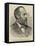 General James a Garfield, President of the United States-null-Framed Stretched Canvas