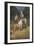 General Lee on His Famous Charger, "Traveler"-Howard Pyle-Framed Giclee Print