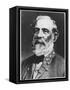 General Lee-null-Framed Stretched Canvas