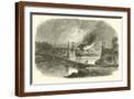 Brown Frame
