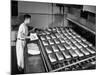 General Mills Baking Laboratory-null-Mounted Photographic Print