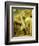 General Nathaniel Green, C.1785-Thomas Stothard-Framed Giclee Print