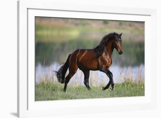 General of Legends-Bob Langrish-Framed Photographic Print