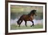 General of Legends-Bob Langrish-Framed Photographic Print