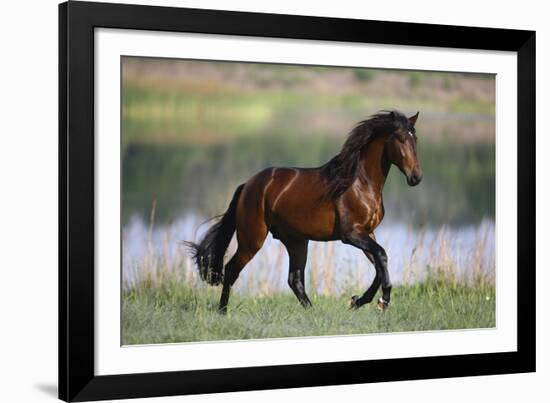 General of Legends-Bob Langrish-Framed Photographic Print