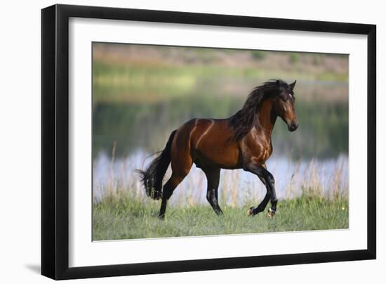 General of Legends-Bob Langrish-Framed Premium Photographic Print