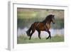 General of Legends-Bob Langrish-Framed Premium Photographic Print