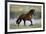 General of Legends-Bob Langrish-Framed Photographic Print